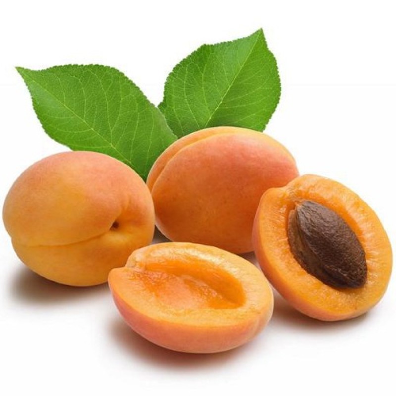 Fresh Apricot - خوبانی